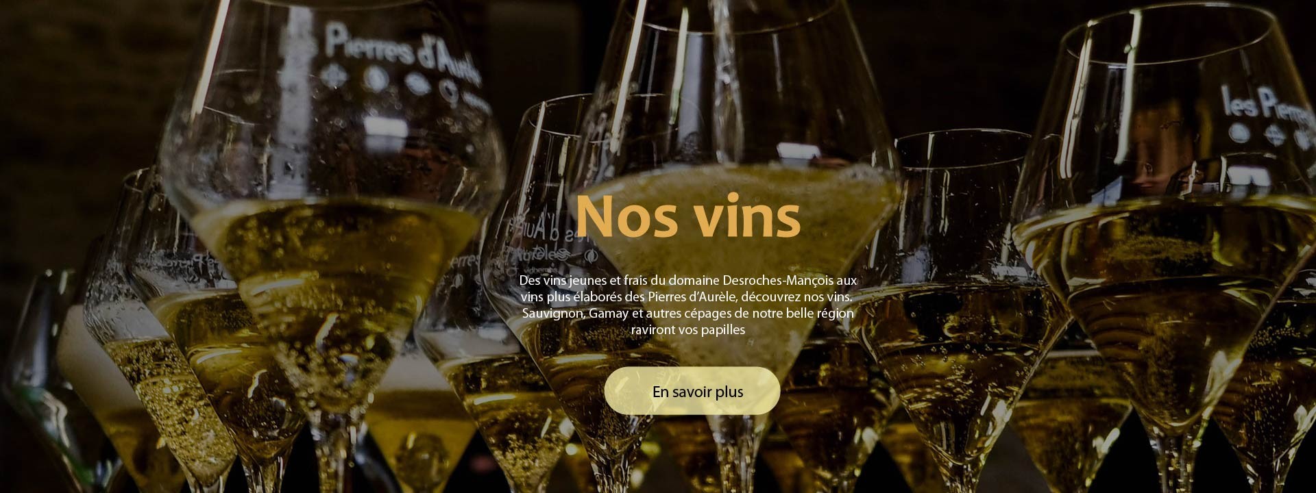 nos-vins